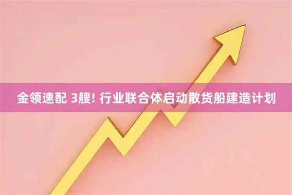 金领速配 3艘! 行业联合体启动散货船建造计划