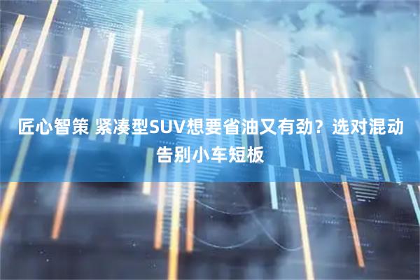 匠心智策 紧凑型SUV想要省油又有劲？选对混动告别小车短板